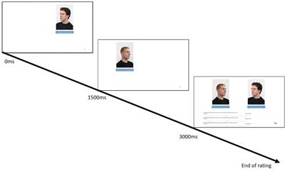 Dyadic Dynamics: The Impact of Emotional Responses to Facial Expressions on the Perception of Power